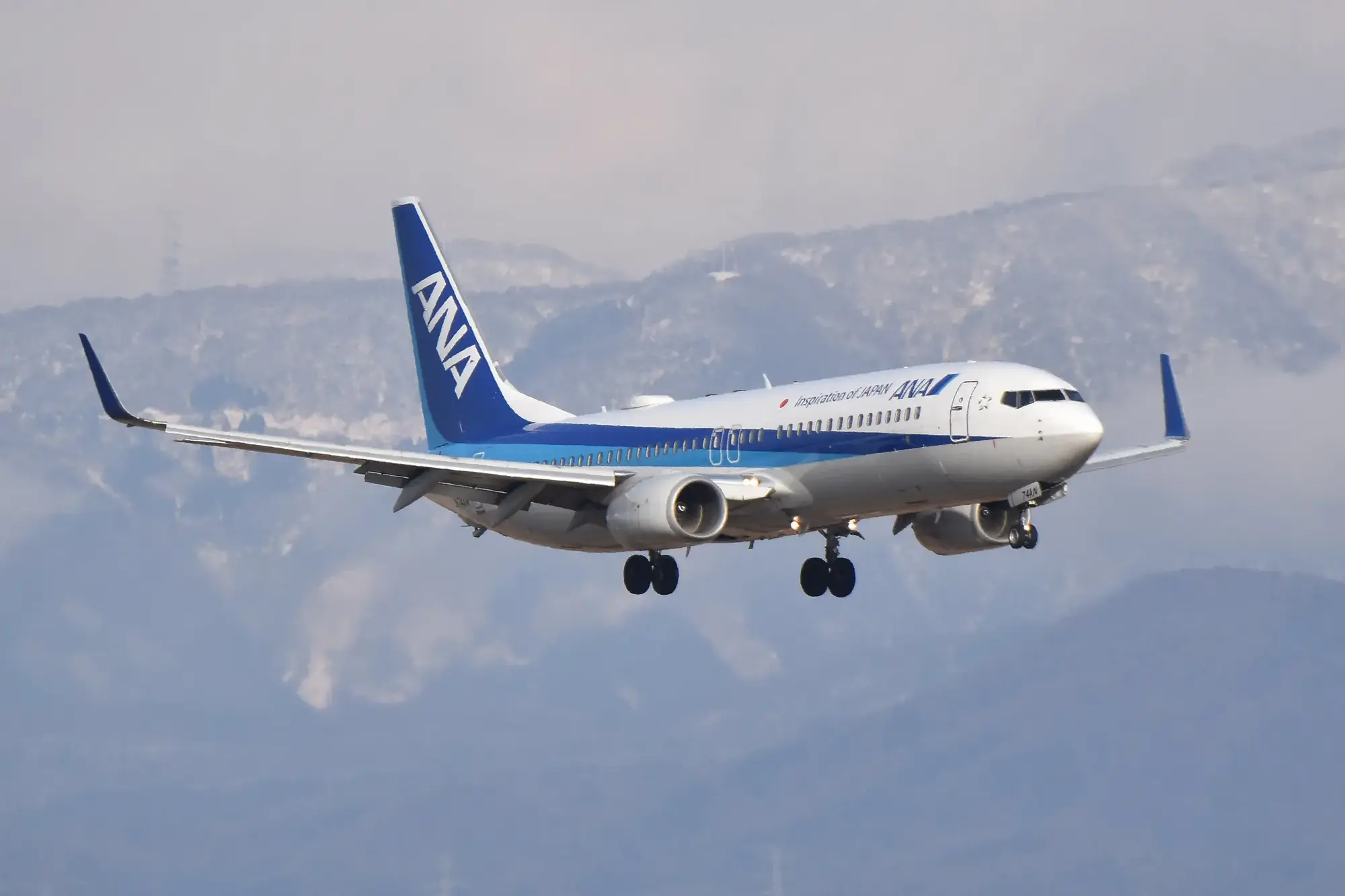 Do ANA Mileage Club Miles Expire? Understanding the Hard Expiry