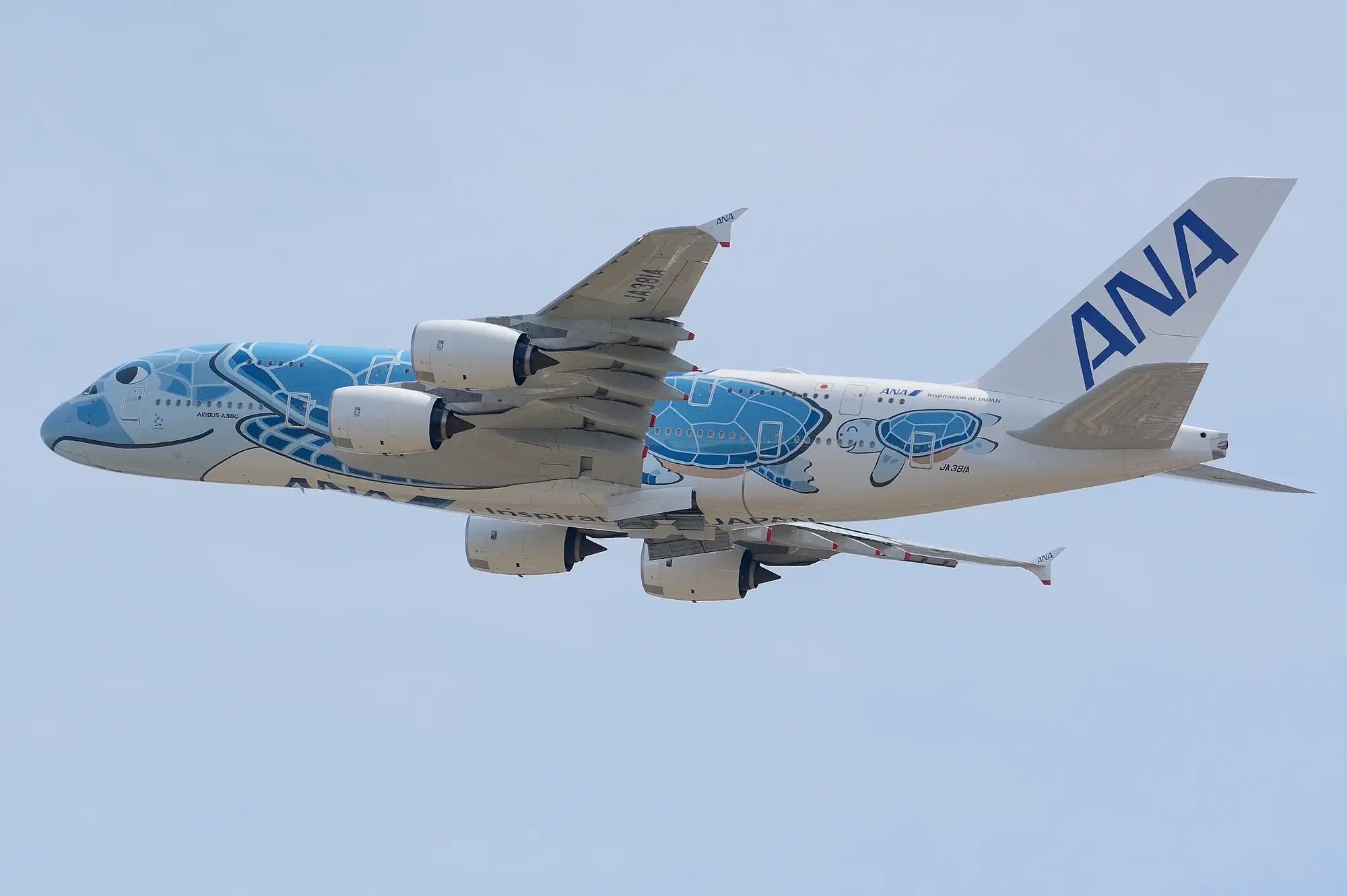 ANA plane